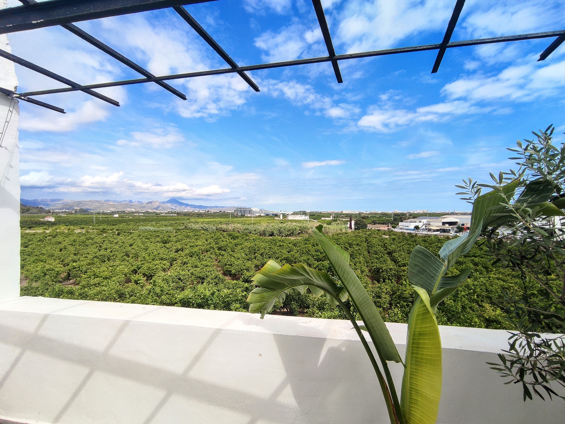 3 bed Townhouse in Oliva