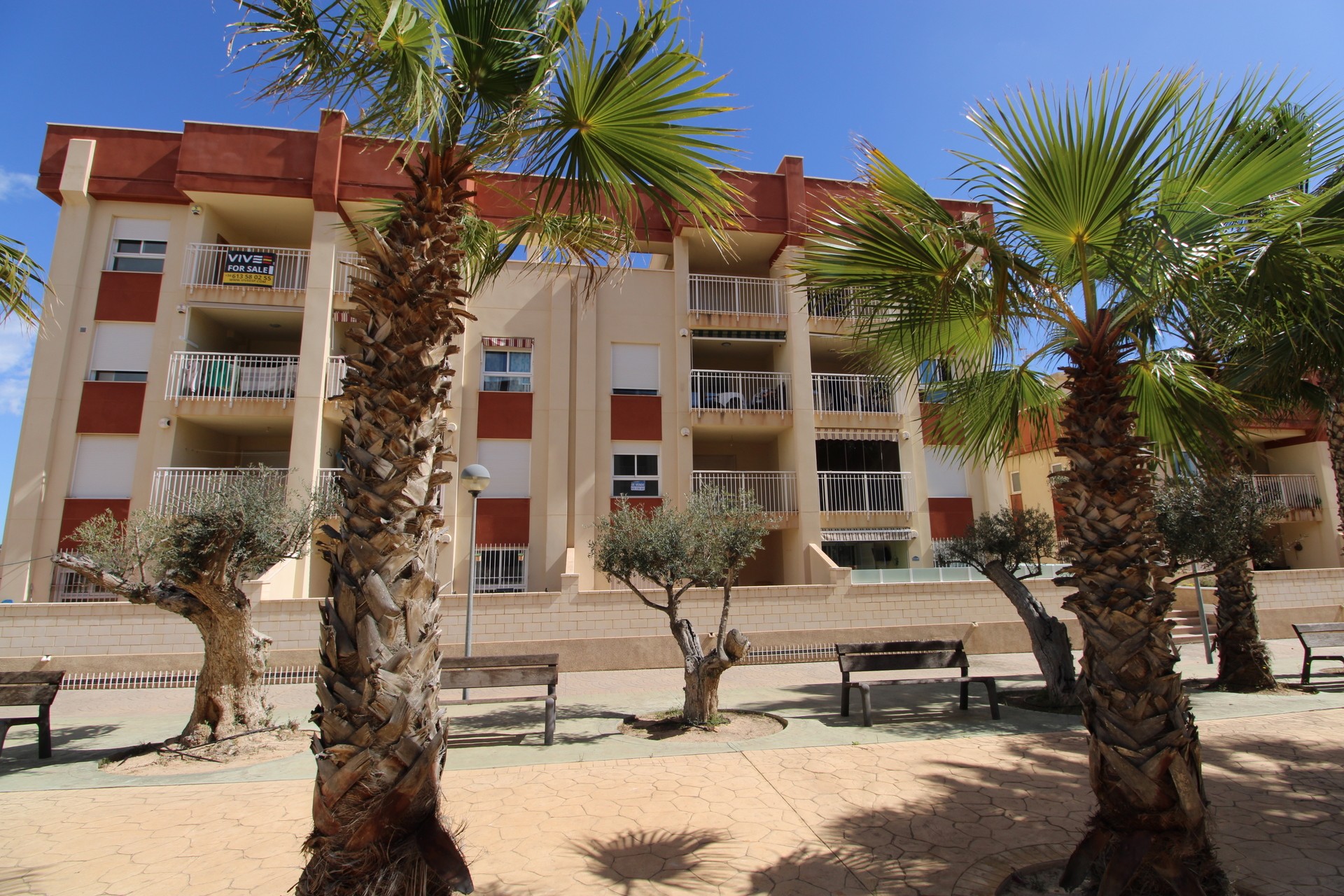 1 bed Apartment in Cabo Roig