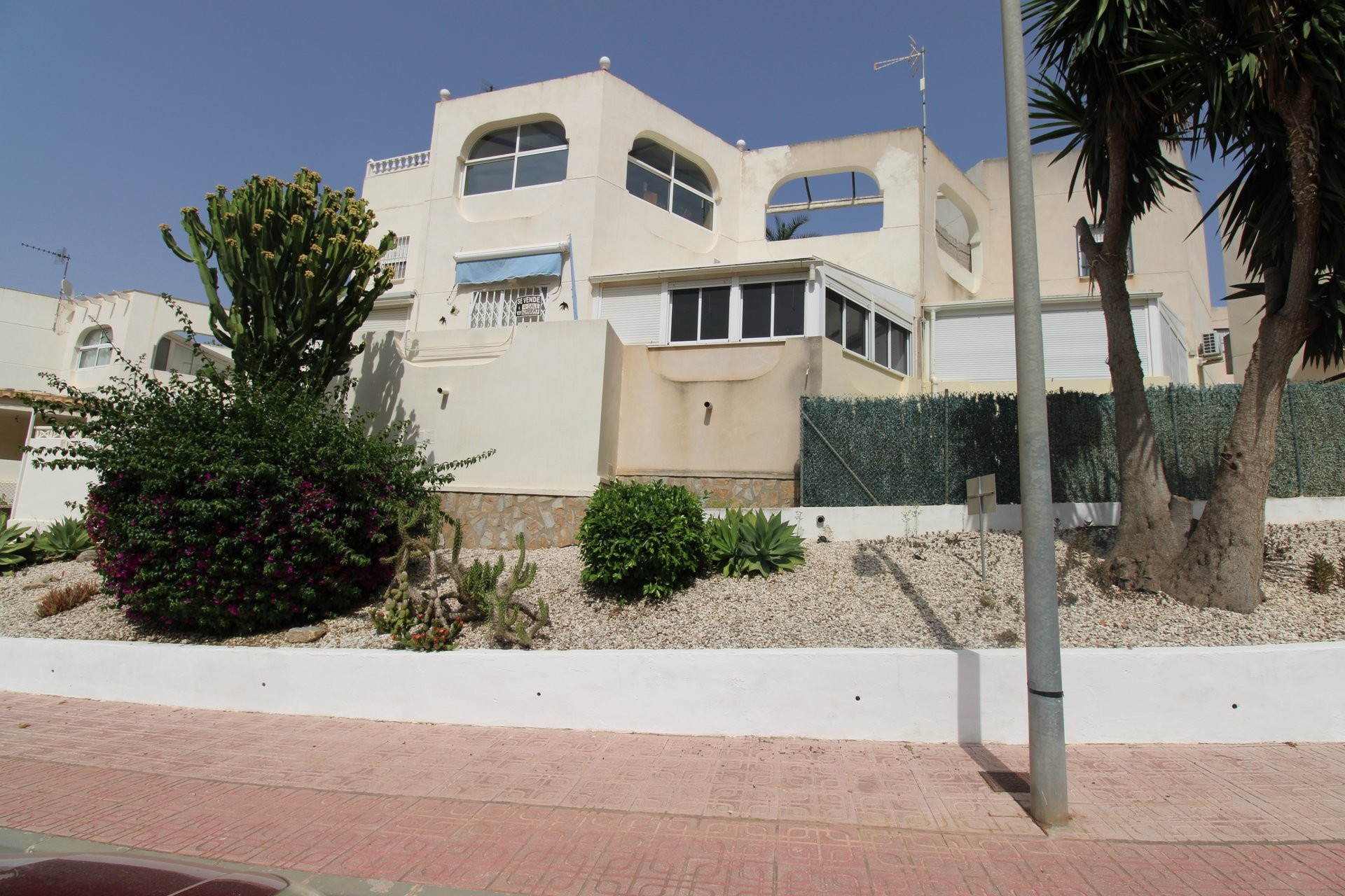 1 bed Apartment in San Miguel de Salinas