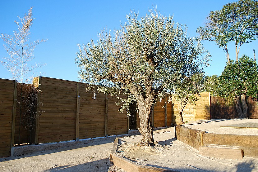 9 Bedroom Villa in Gandia