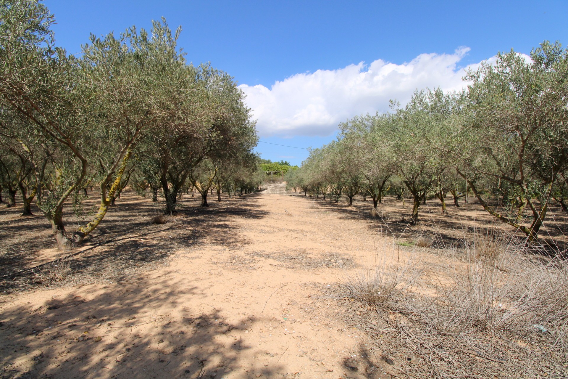 3 Bedroom Villa in Valle del Sol
