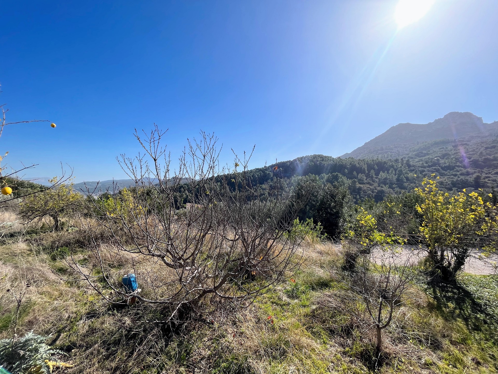 5 slaapkamer townhouse in Campell