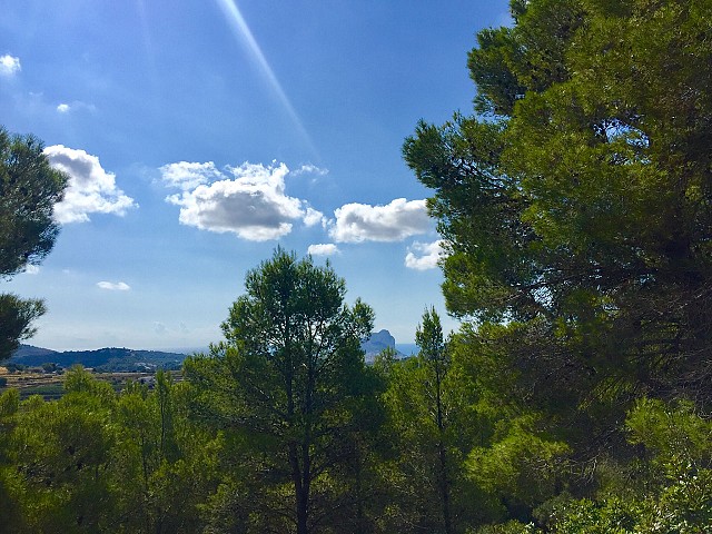 Grundstücke in Benissa