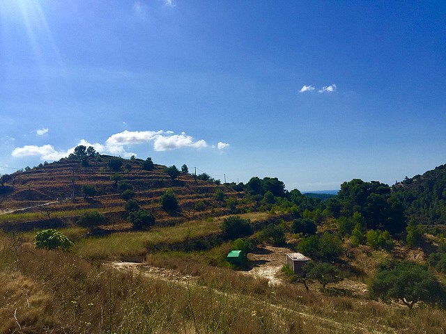 Grundstücke in Benissa