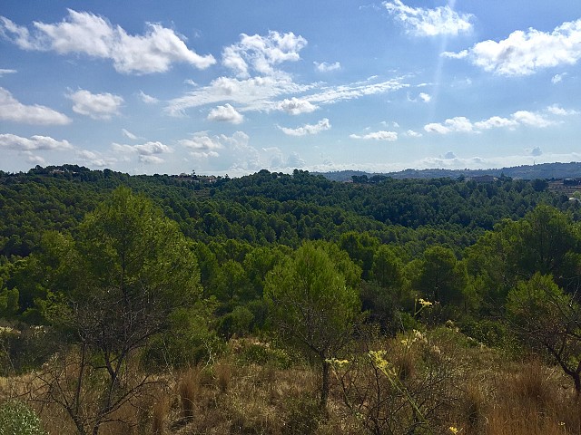 Grundstücke in Benissa