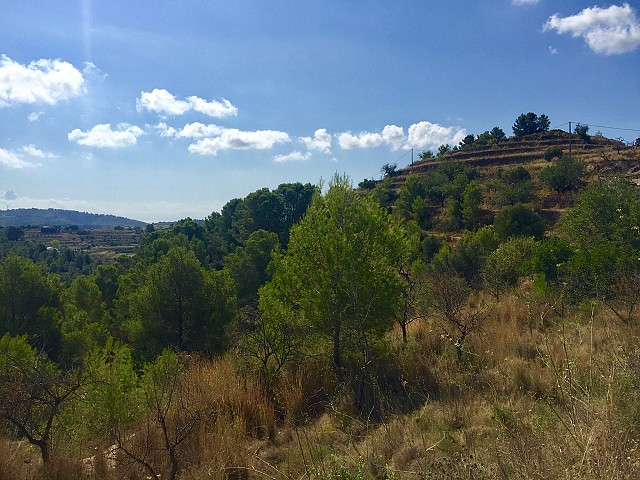 Grundstücke in Benissa