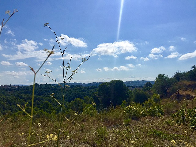 Grundstücke in Benissa