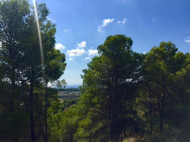 Grundstücke in Benissa