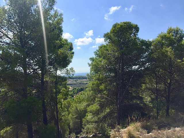 Grundstücke in Benissa