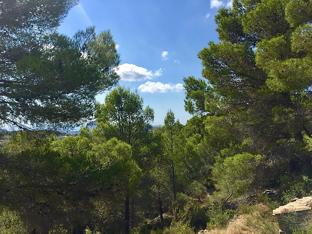 Grundstücke in Benissa