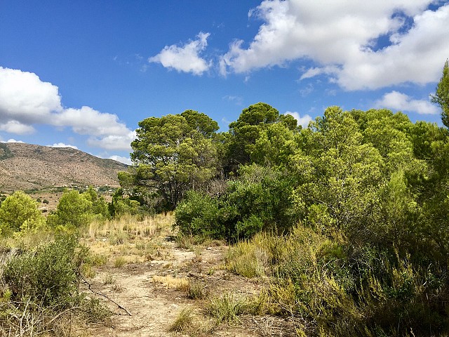 Grundstücke in Benissa