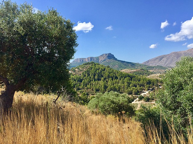 Grundstücke in Benissa