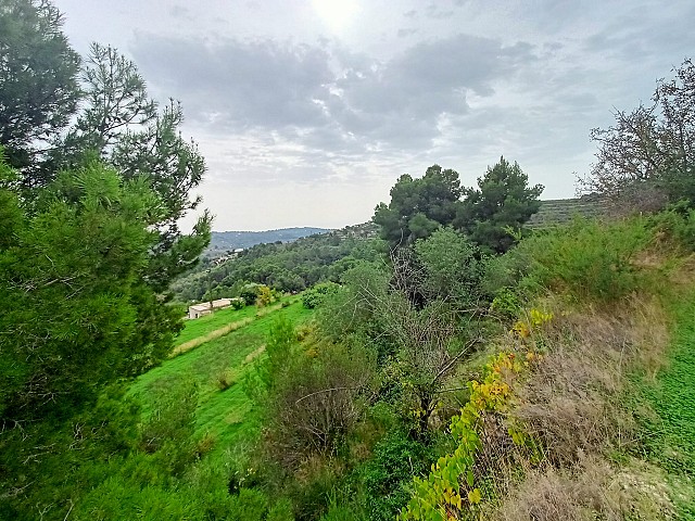 Grundstücke in Benissa