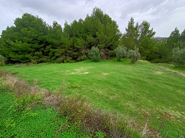 Grundstücke in Benissa
