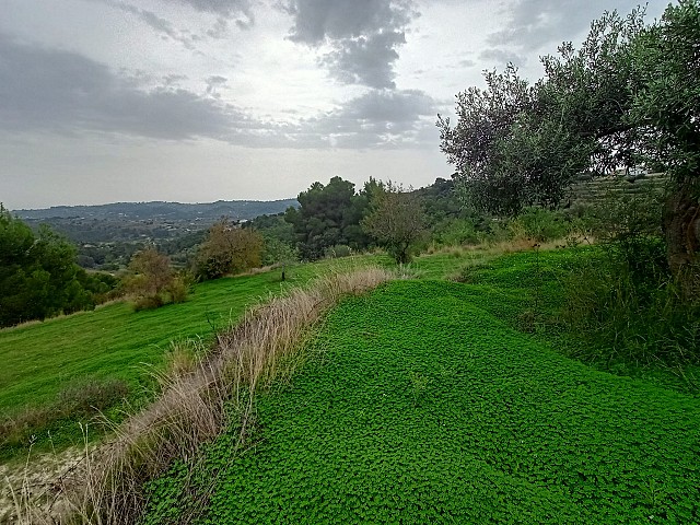 Grundstücke in Benissa