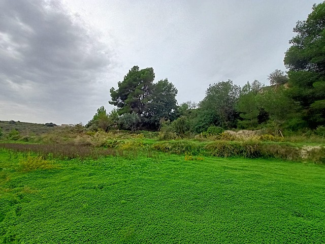 Grundstücke in Benissa