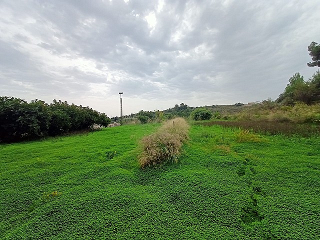 Grundstücke in Benissa
