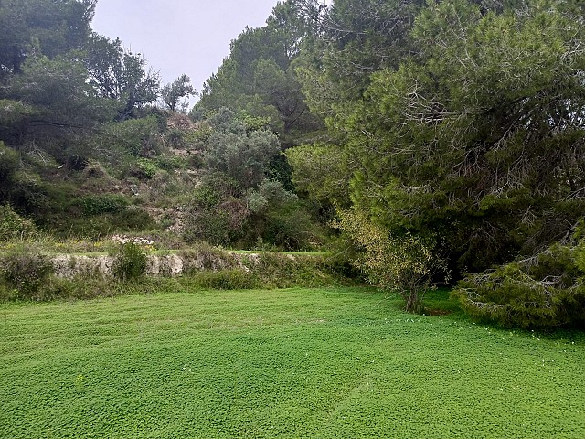 Grundstücke in Benissa
