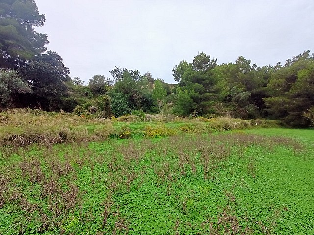 Grundstücke in Benissa