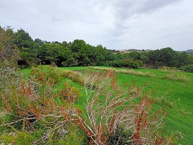 Grundstücke in Benissa