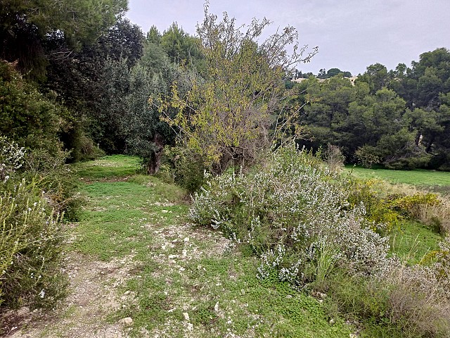 Grundstücke in Benissa