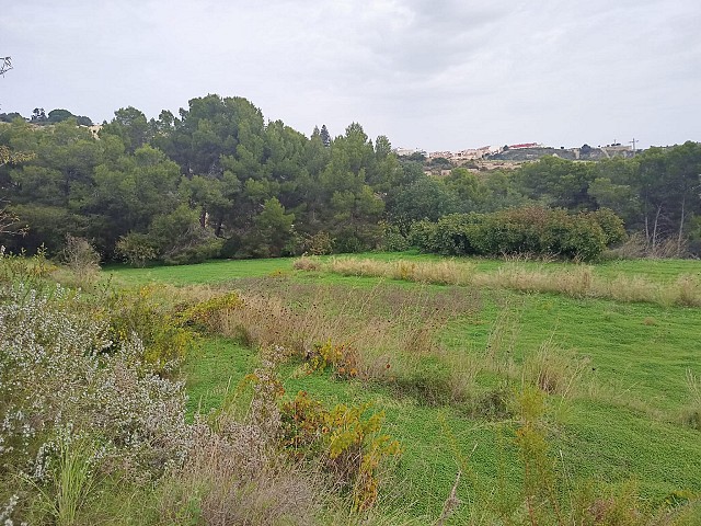 Grundstücke in Benissa