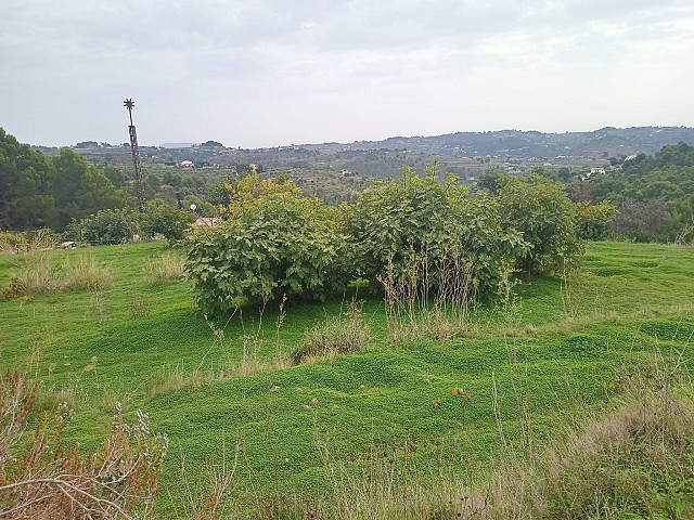 Grundstücke in Benissa