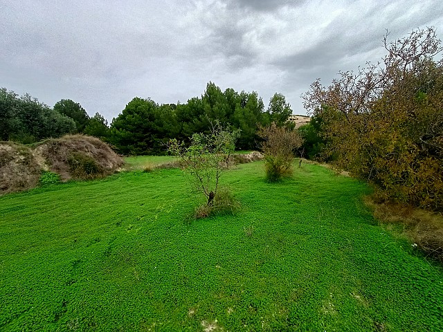 Grundstücke in Benissa