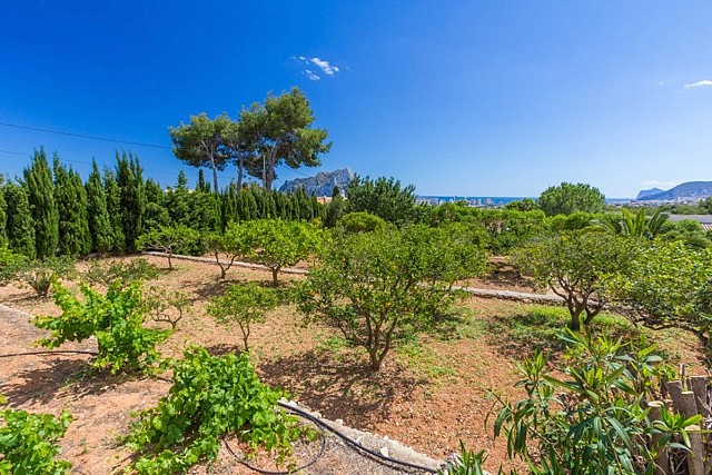 Villa de 5 dormitorios en Calpe