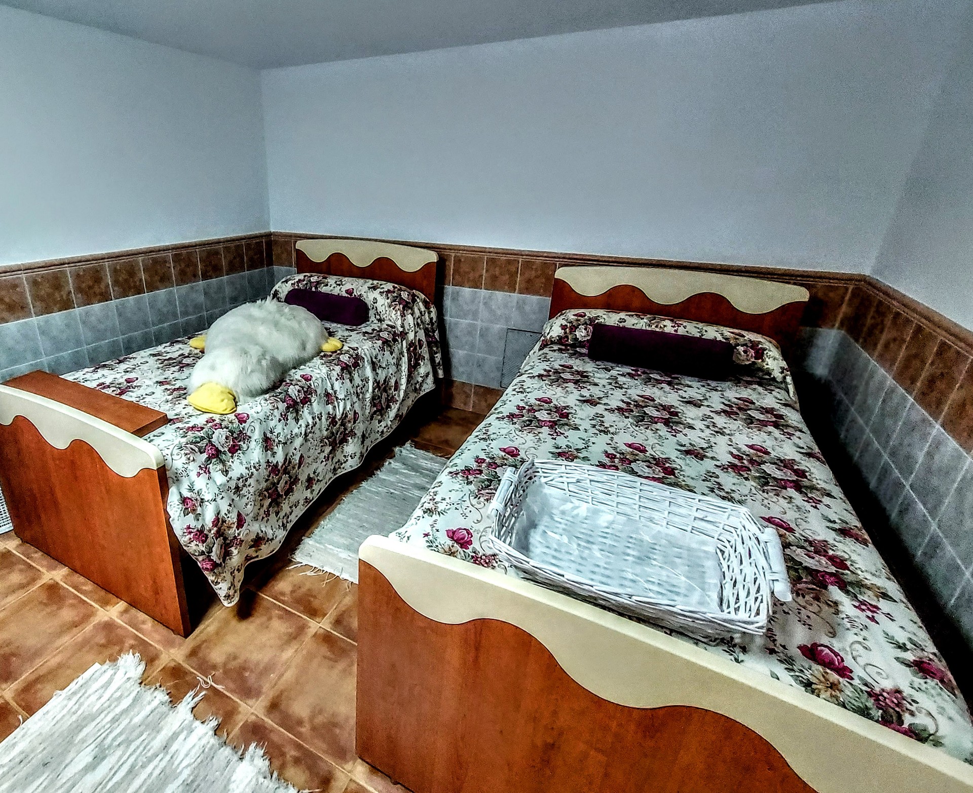 5 slaapkamer villa in Alberic