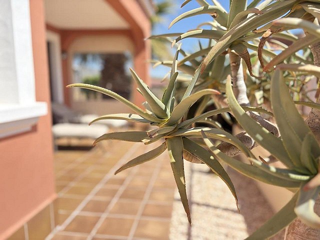 3 Bedroom Villa in Altaona Golf