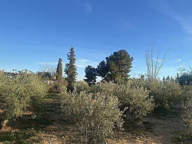 4 slaapkamer villa in Gea y Truyols