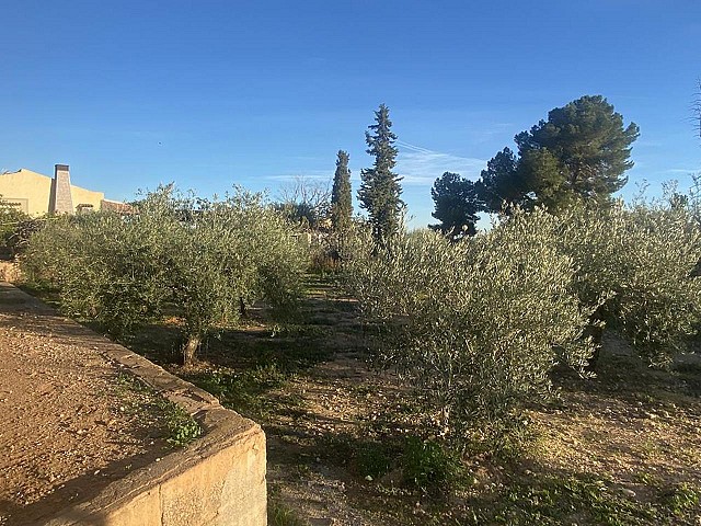 4 slaapkamer villa in Gea y Truyols