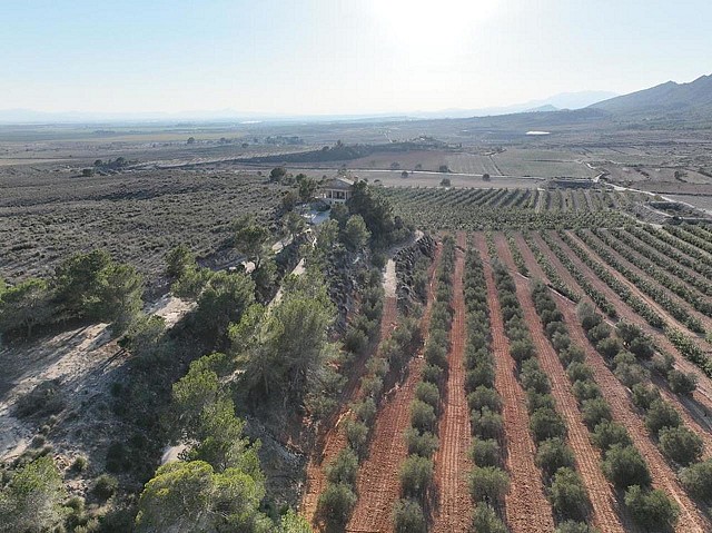 Villa de 4 dormitorios en Gea y Truyols