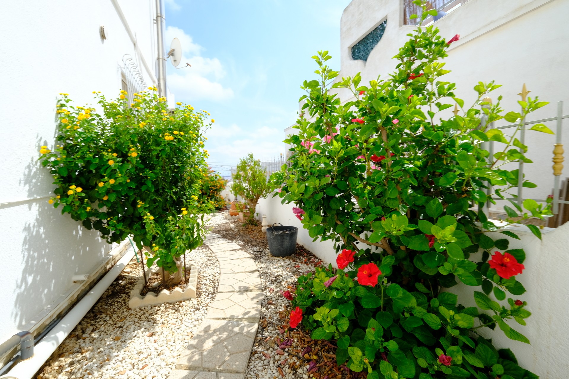 Villa de 3 dormitorios en San Miguel de Salinas