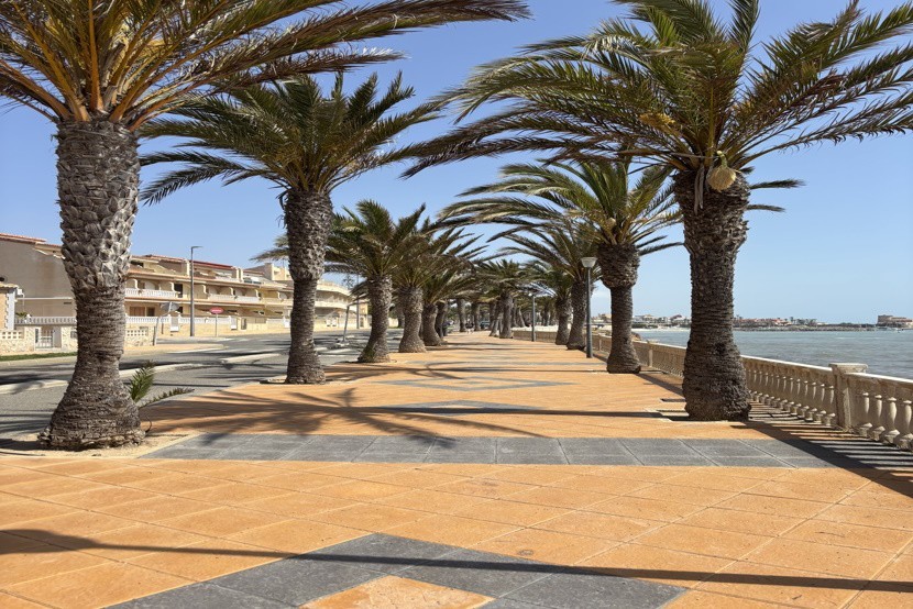 Kamienica z 3 sypialniami w Torre de la Horadada