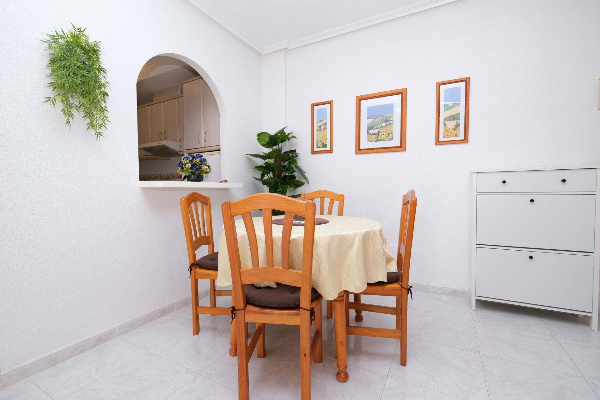 1 Bedroom Apartment in Playa Flamenca
