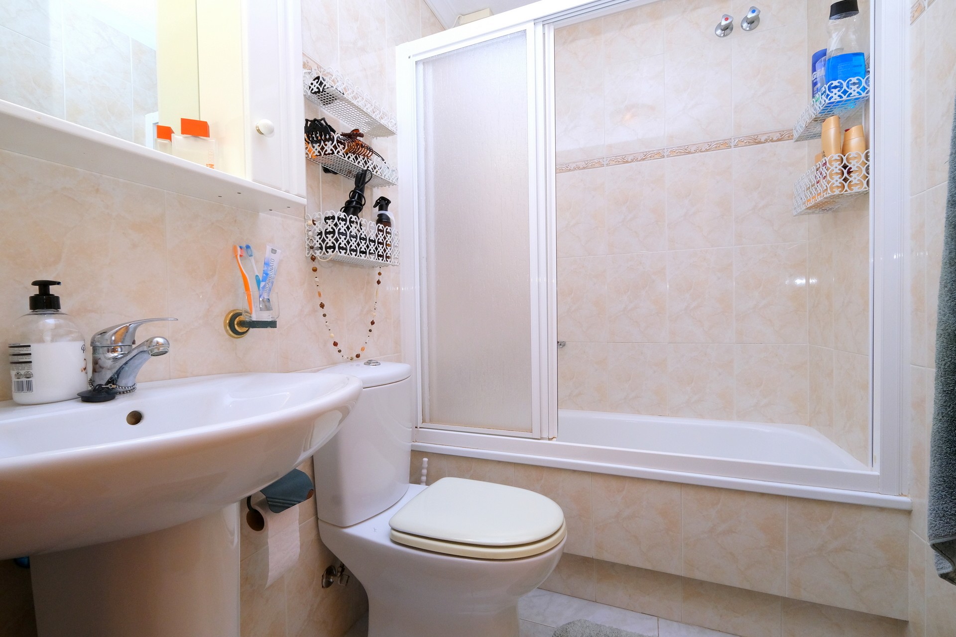 1 Bedroom Apartment in Playa Flamenca