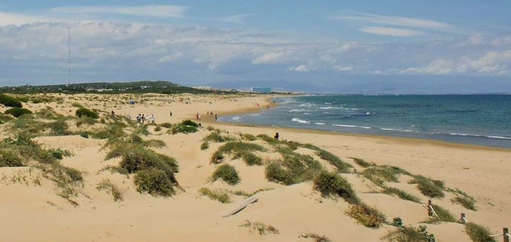 Chalet de 2 dormitorios en Algorfa