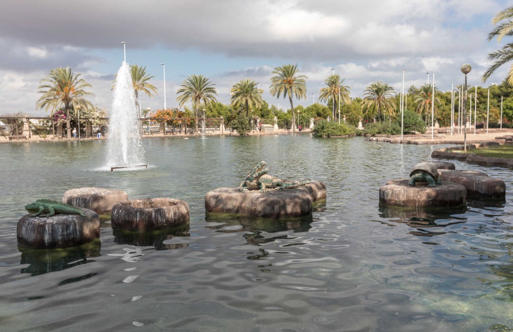 Commercial in Torrevieja